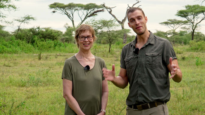 TALKING ABOUT TIMBA 1080 H265